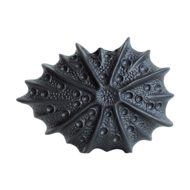 Jarrón de cerámica decorativo estético nórdico bohemio moderno decoración de granja concha marina negro