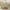 Sage Green, variant on 100% Pure Linen Tablecloth, 55x55 Inch Square Table Cover - Natural