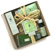 PDC Brands The Healing Garden Gingerlilytheraphy Enlightening Starter Kit, 1 ea