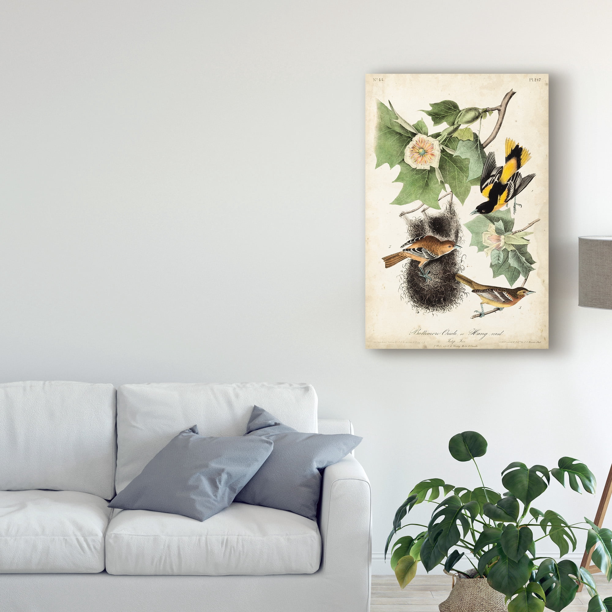Trademark Fine Art 'Baltimore Oriole' Canvas Art by John James Audubon