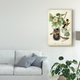 thumbnail image 3 of Trademark Fine Art 'Baltimore Oriole' Canvas Art by John James Audubon, 3 of 4