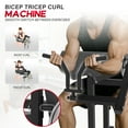 thumbnail image 2 of HeeH 2-in-1 Bicep Curl & Tricep Extension Machine - Arm Workout Bench for Home Gym (Black), 2 of 7
