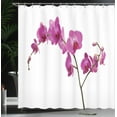 thumbnail image 4 of Ambesonne Flowers Shower Curtain, Wild Orchids Petals, 69"Wx84"L, Violet, 4 of 5