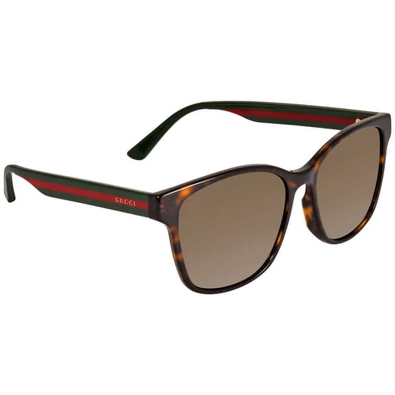 Gucci GG0417SK 003 56mm Square Sunglasses Men's Havana