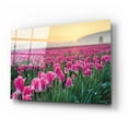 thumbnail image 2 of Epic Art 'Skagit Valley Tulips I' by Alan Majchrowicz, Acrylic Glass Wall Art, 24"x16", 2 of 8