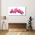 thumbnail image 6 of Epic Art 'Pink Orchid on White 01' by Tom Quartermaine, Acrylic Glass Wall Art, 48"x24", 6 of 8