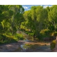 thumbnail image 2 of Fitzharris, Tim 30x26 White Modern Wood Framed Museum Art Print Titled - Cottonwoods along the San Pedro River-Arizona-USA, 2 of 4