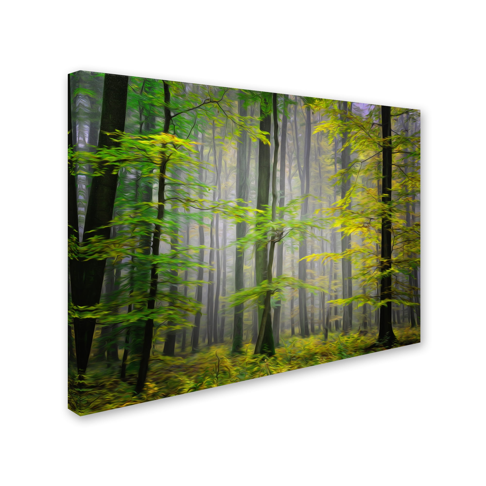 Trademark Fine Art "Sugar Low" Canvas Art by Philippe Sainte-Laudy
