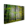 thumbnail image 2 of Trademark Fine Art "Sugar Low" Canvas Art by Philippe Sainte-Laudy, 2 of 3