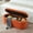 orange, variant on Storage Ottoman Bench End of Bed for Bedroom,Upholstered Entryway Shoe Seat Bench with Storage, Modern Cute Padded Blanket Chest Stool Foot Rest for Living Room, Window Seating