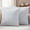 LightGray, variant on Grey Spring Floral Outdoor Waterproof Pillow Covers, Modern Abstract Art Farmhouse Decorative Square Throw Pillowcase Sofa Cushion Sham for Patio/Couch/Chair, 20"x20" 2 Pack