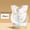 Little Flying Dragon, variant on 20pcs portable disposable bib without washing, convenient for travel, essential for travel, strong adhesion, anti drop, waterproof and oil resistant