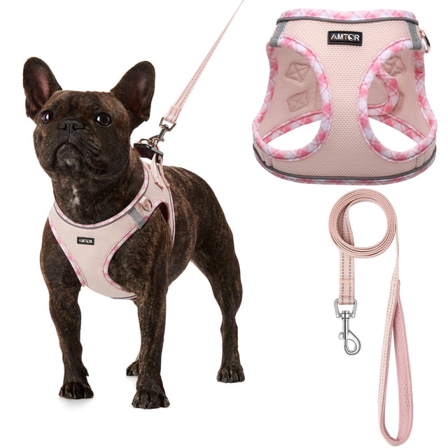 Arnés para perros AMTOR Small con correa para entrenamiento y caminata