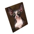 thumbnail image 1 of Rustic Sphynx Cat Blanket BLNKT107706, 1 of 3