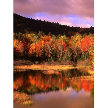 Small Pond and Fall Foliage Reflection, Katahdin Region, Maine, USA Print Wall Art By Howie