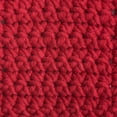 thumbnail image 4 of BERNAT BEYOND YARN (120G/4.2OZ), RED, 4 of 6