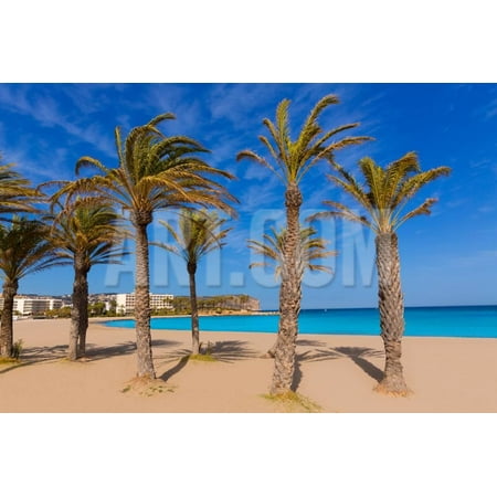 Javea Playa Del Arenal Beach in Mediterranean Alicante at Xabia Spain Palm Trees Print Wall Art By