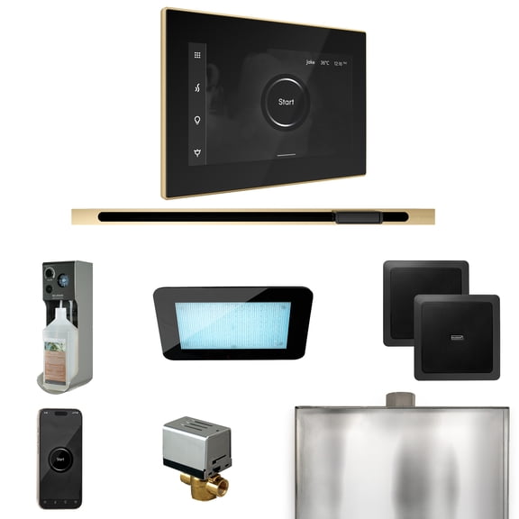 Mr Steam XDream Steam Shower Ctrl Pkg w/iSteamX Control and Linear Steamhead in Black Polished Brass