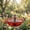 Red, variant on Solar Cascade Hanging Bird Bath Fountain with Fountain Pump, for Outdoor and Gardens, Yard Patio Backyard Lawn Decor, Mother's Day Gifts