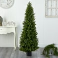 thumbnail image 5 of Nearly Natural 5.5ft. Cypress Cone Topiary Artificial Tree UV Resistant (Indoor/Outdoor), 5 of 5