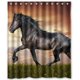 thumbnail image 1 of ABPHQTO Cortina de ducha Black Horse Cortina de ducha impermeable 150x180 cm, 1 of 2