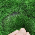 thumbnail image 4 of AIHOME 100*100CM Moss Mat Decorative Moss Artificial Grass Mat Lawn Rug for Patio Decoration Home Floor DIY Wedding Decoration, 4 of 5