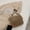 Dark Grey, variant on Hairy New Female Chain Crossbody Plush Small Square Bag