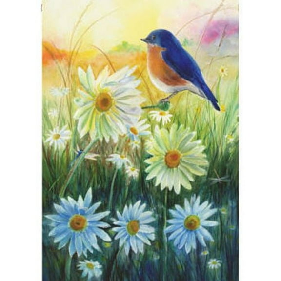 Premier Illuminated House Flag - Bluebird Sunrise