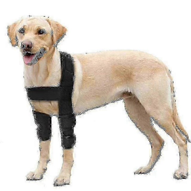 Breathable Dog Elbow Brace Protector Pads For Canine Elbow And Shoulder Support Elbow Hygroma, Dysplasia, Osteoarthritis, Elbow Calluses