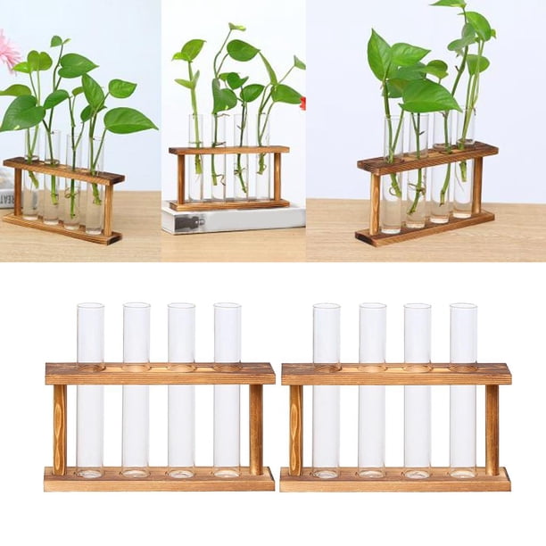 Cristal Planta Terrario BLESIY Jarrón Macetas para Plantas Hidropónicas Decoración Del Jardín