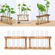 thumbnail image 1 of Cristal Planta Terrario BLESIY Jarrón Macetas para Plantas Hidropónicas Decoración Del Jardín, 1 of 8
