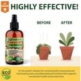 thumbnail image 2 of ⭐ 𝐁𝐄𝐒𝐓𝐒𝐄𝐋𝐋𝐄𝐑 Plant Superfood for CALATHEA Plants with B1 Vitamin, Glucose and Essential Minerals - Organic Plant Food Fertilizer for Indoor & Outdoor CALATHEA Plant Care - 8oz, 2 of 6