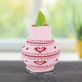 thumbnail image 2 of Heart's Delight Sweater Amaryllis Flower Bulb with Stand, No Water Needed, Gift Ready, 2 of 4