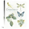 thumbnail image 1 of Global Gallery's 'My Greenhouse Botanical II' By Lisa Audit Stretched Canvas Wall Art, 1 of 4