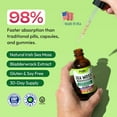 thumbnail image 5 of Pella Nutrition Sea Moss Extract Liquid Supplement, Immune Support, Strawberry Lime, 2 fl oz, 5 of 11
