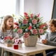 thumbnail image 5 of Set de Adornos Navideños de Bolas | Paquete de 16 Adornos Colgantes de Plástico para Árbol y Hogar | Esferas de 6 Cm En Rosa, Dorado y Rojo para Decoración Navideña, 5 of 6