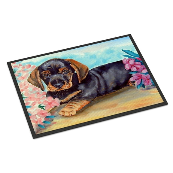 Carolines Treasures 7501JMAT Dachshund Doormat 24x36 36"L x 24"W multicolor