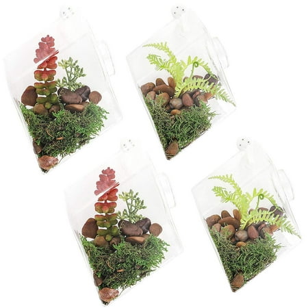 4-Pack Wall-Mounted Diamond Glass Terrarium For Succulents And Air Plants, 5 X 4.5 X 2