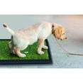 thumbnail image 2 of Tapete entrenador para perro (50 x 42 cms), 2 of 2