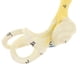thumbnail image 3 of Modelo de Oído Biología Accesorios de Producto commerce business, 3 of 8