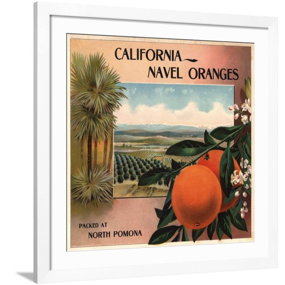 Art.com California Navel Oranges Brand - Pomona, California - Citrus Crate Label Art Print by Lantern Press, White Frame Wall Art, 38" x 38"