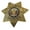 Gold, variant on Hero's Pride 3" SECURITY OFFICER Star Emblem Badge – Silver Plated, 7-Point, Durable Pin Back
