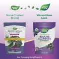thumbnail image 4 of Nature's Way Sambucus Immune Lozenges, Elderberry,  Zinc + Vitamin C, Organic, Unisex, 24ct, 4 of 9