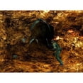 thumbnail image 6 of Metal Gear Solid 3 Snake Eater - PlayStation 2, 6 of 7