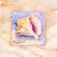 thumbnail image 1 of Tile Mural Kitchen Backsplash - Summer Conch - by Paul Brent, 1 of 1
