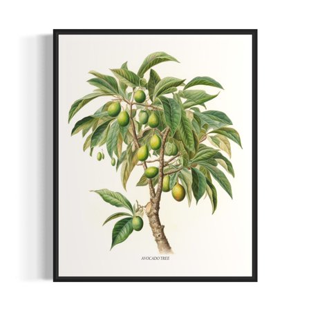 Poster Avocado Tree Art Print, Avocado Tree Wall Art Poster -UNFRAMED