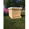 2 Medium (6 5/8) w/Frames Beekeeping Bee Hive kit (Un-Assembled) Langstroth