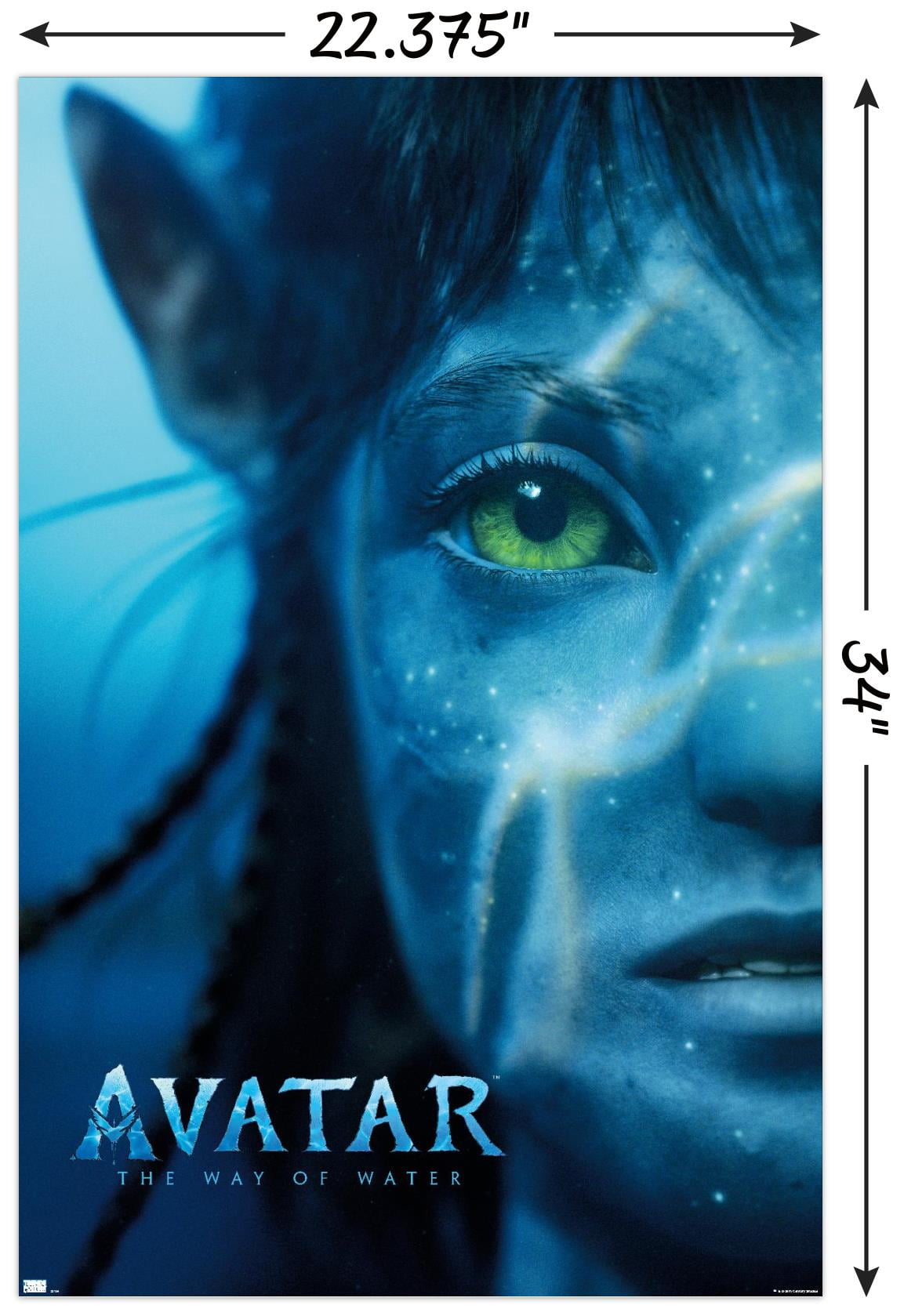AVATAR French Movie Poster  15x21 in  2009