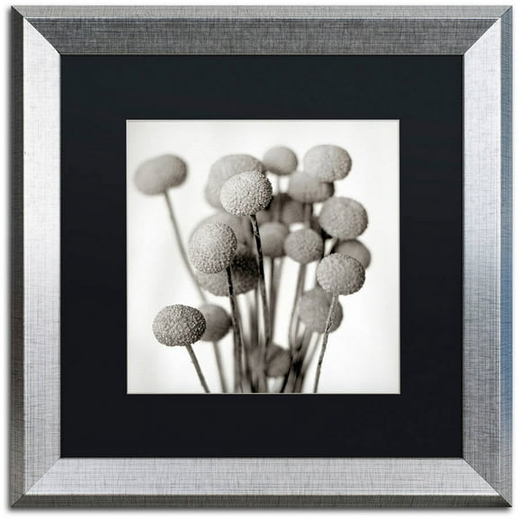 Trademark Fine Art "Florison 33" Canvas Art by Alan Blaustein, Black Matte, Silver Frame