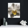 thumbnail image 4 of ONETECH Black and White Gold Flower Canvas Wall Art Zen Orchid Floral Photo Art Print on Canvas Modern Flower Painting for SPA Bedroom Bathroom Decor Framed Ready to Hang, 4 of 4